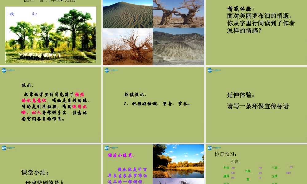 中学七年级语文上册 布泊，消逝的仙湖课件 鲁教版五四制 课件