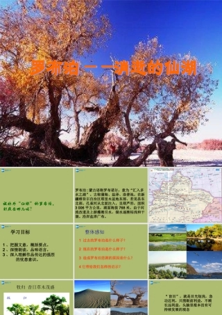 中学七年级语文上册 布泊，消逝的仙湖课件 鲁教版五四制 课件