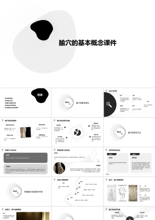 腧穴的基本概念课件