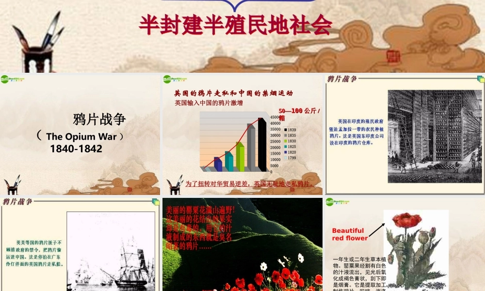 八年级历史上册 第1课鸦片战争课件 人教新课标版 课件