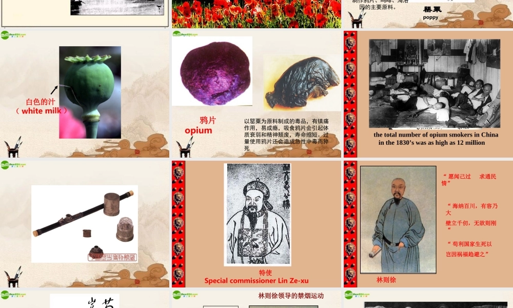 八年级历史上册 第1课鸦片战争课件 人教新课标版 课件