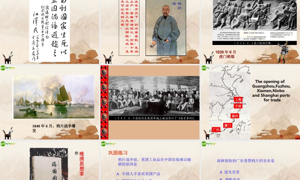 八年级历史上册 第1课鸦片战争课件 人教新课标版 课件