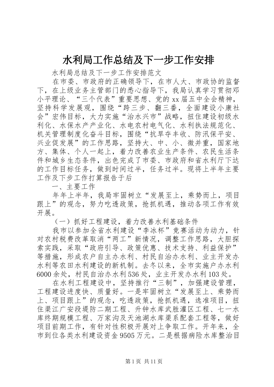 水利局工作总结及下一步工作安排_第1页