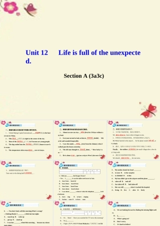 九年级英语全册 Unit 12 Life is full of the unexpected Section A(3a 3c)课件 (新版)人教新目标版 课件