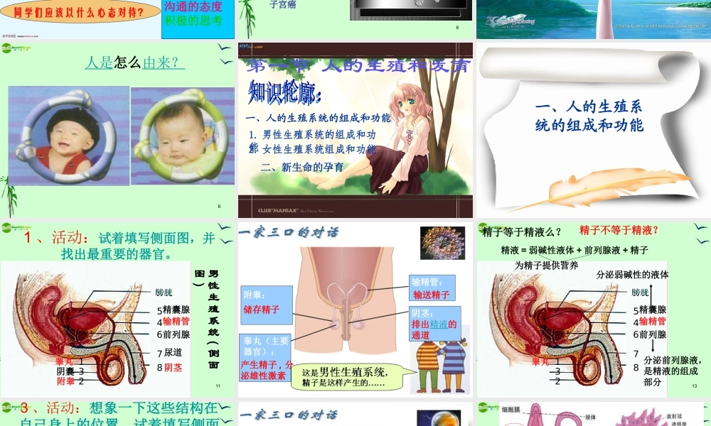 八年级生物上册 第八章_人的生殖和发育课件 北师大版 课件