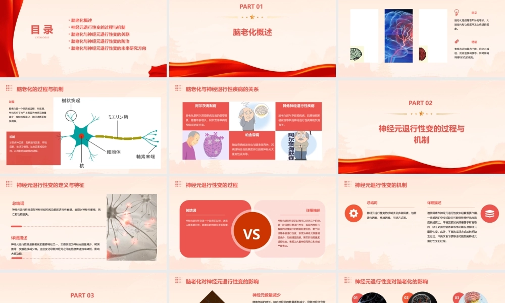 脑的老化与神经元退行性变课件