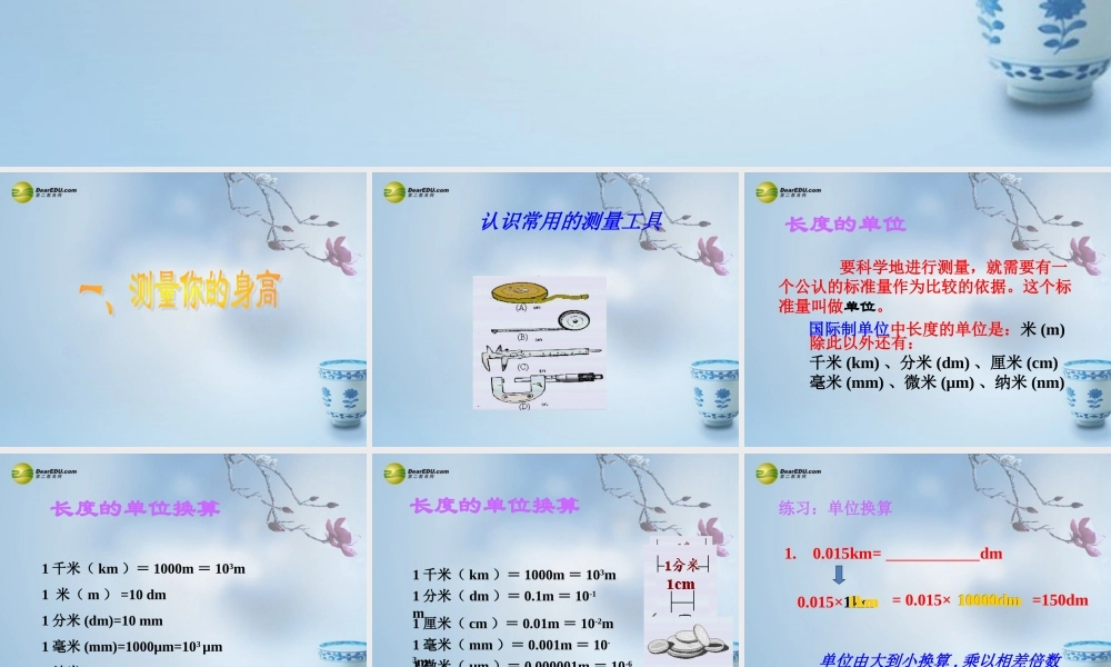 七年级科学上册 0.3 建立自己的健康信息档案课件1 华东师大版 课件