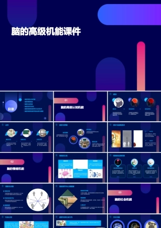 脑的高级机能课件