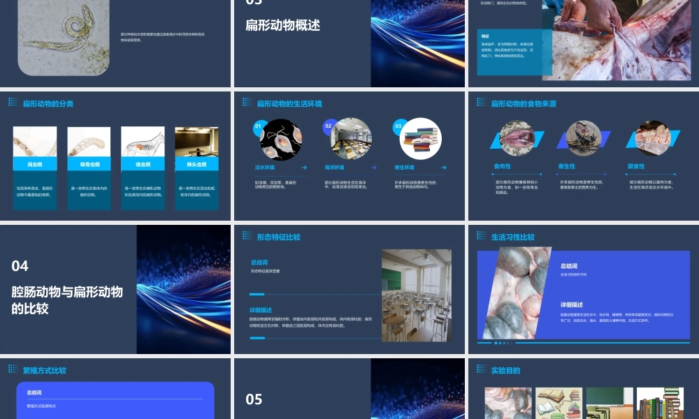 腔肠动物和扁形动物教学课件