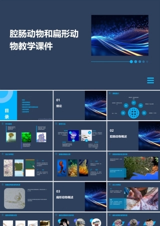 腔肠动物和扁形动物教学课件