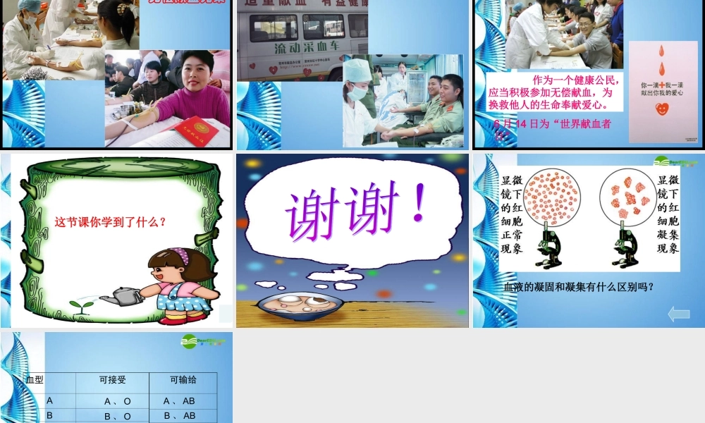 七年级生物下册 第三单元第三章第一节物质运输的载体课件 济南版 课件