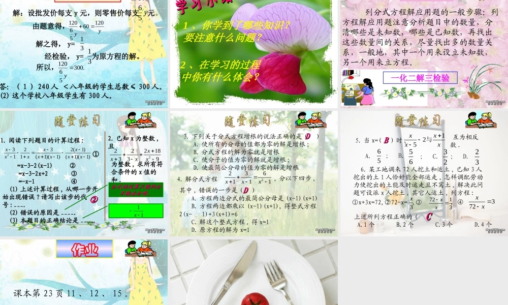 可化为一元一次方程的分式方程三 华东师大版 课件