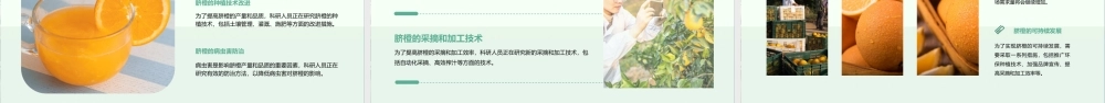 脐橙及其风味物质课件