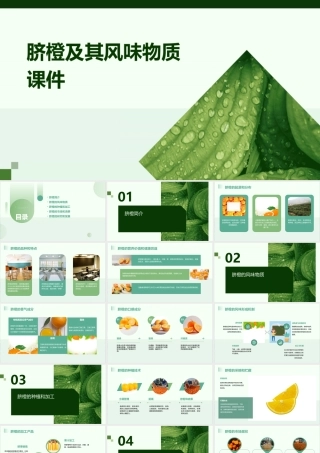 脐橙及其风味物质课件