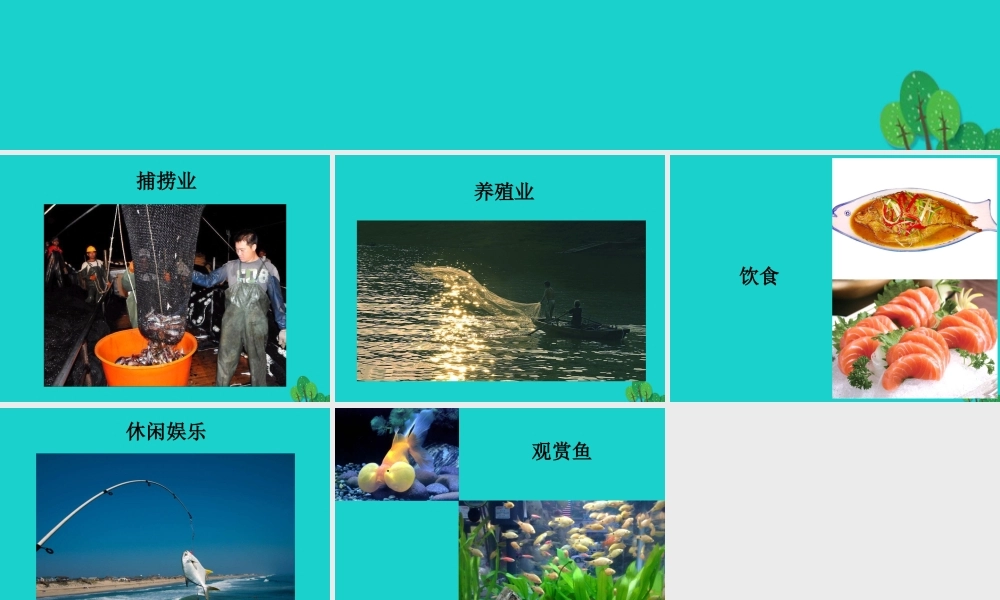 八年级生物上册 第七单元 第一章 第四节 鱼类 鱼与人类生活的关系课件 鲁科版五四制 课件