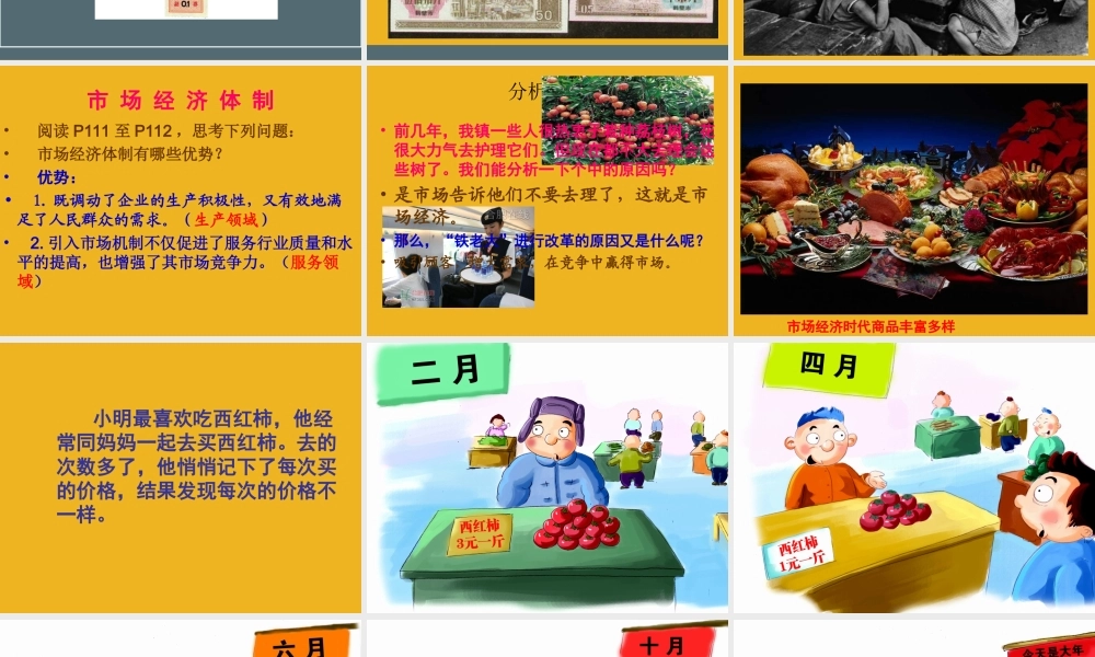 八年级政治下册 市场经济(第十二课)课件 教科版 课件
