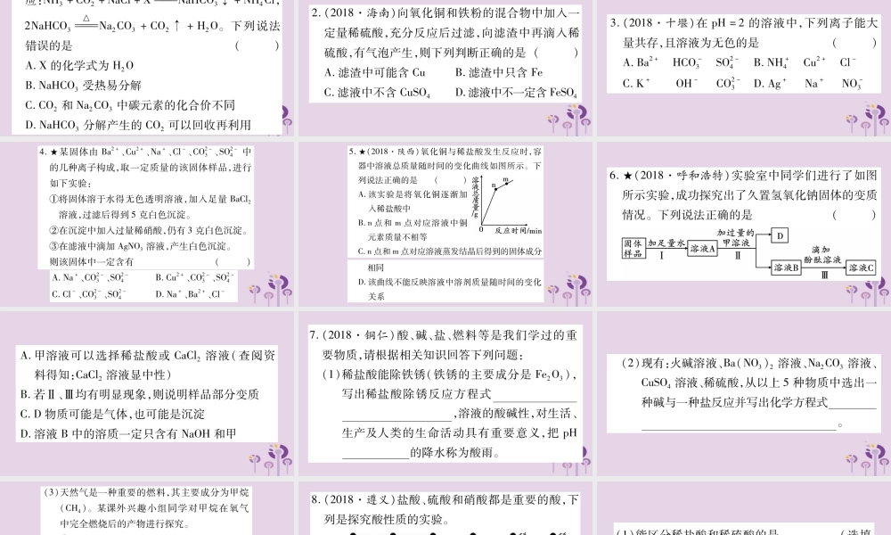 中考化学复习 专项突破二 酸碱盐(精练)课件