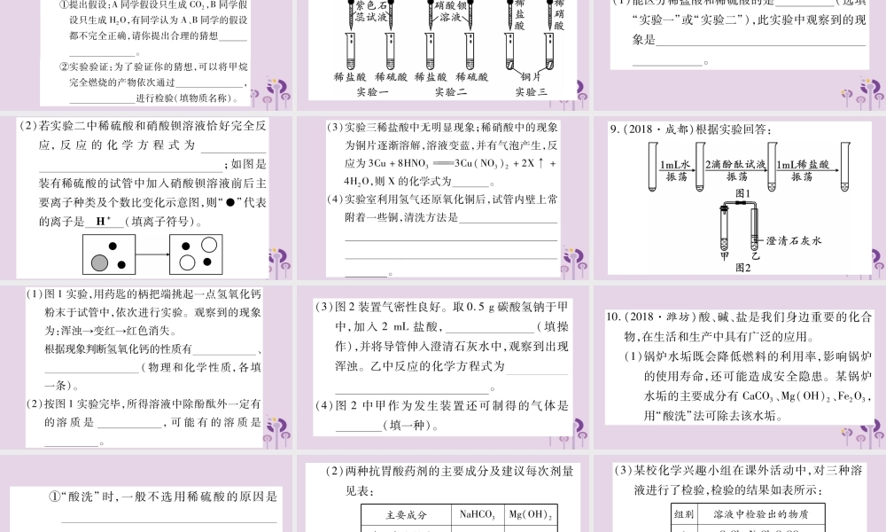 中考化学复习 专项突破二 酸碱盐(精练)课件
