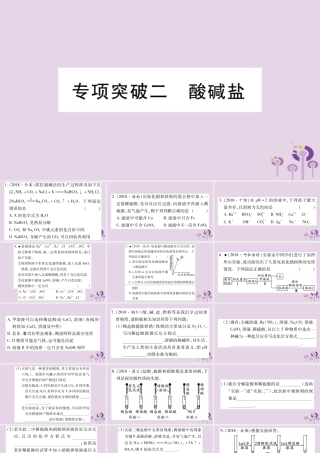 中考化学复习 专项突破二 酸碱盐(精练)课件