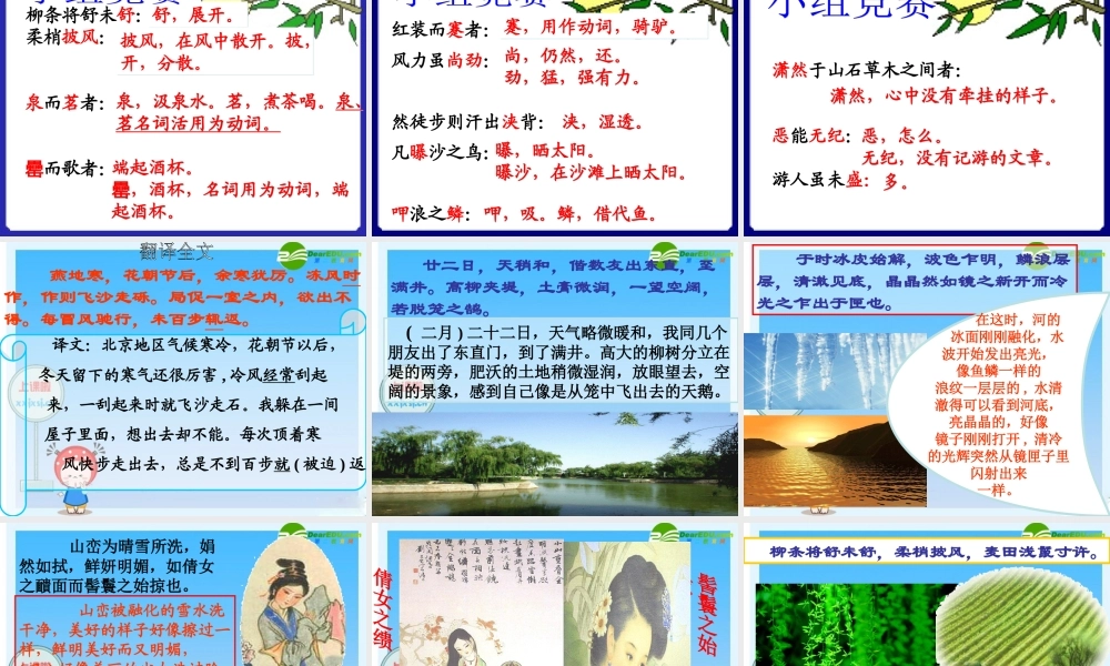 八年级语文下册 (满井游记)教学课件 人教新课标版 课件