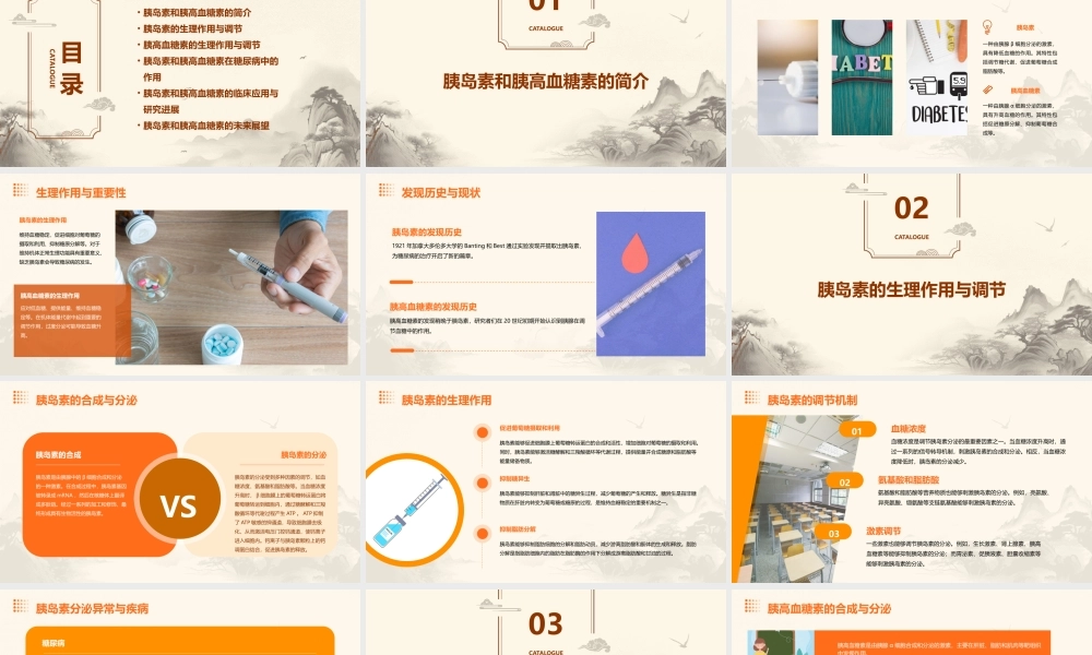 胰岛素和胰高血糖素课件