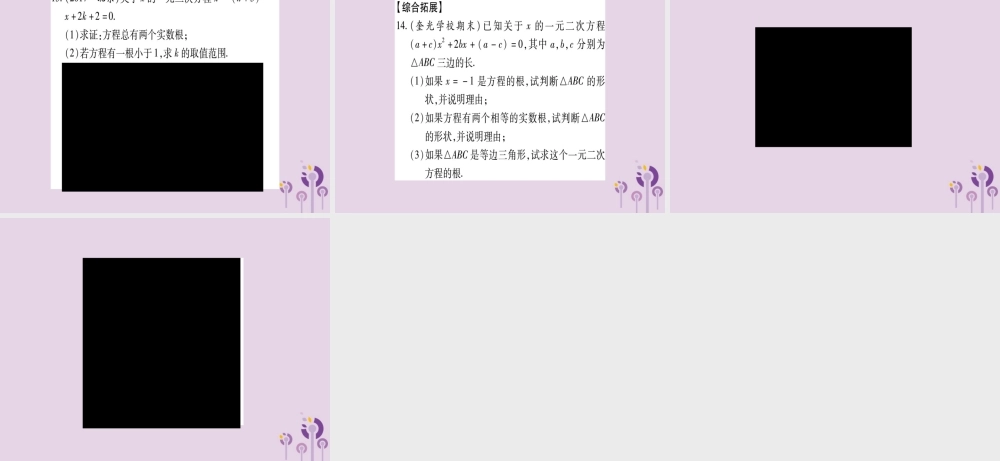 九年级数学上册 第2章 一元二次方程 23 一元二次方程根的判别式作业课件 (新版)湘教版 课件