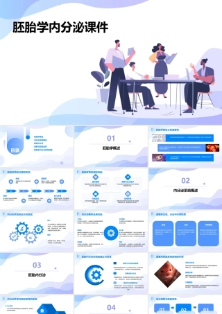 胚胎学内分泌课件