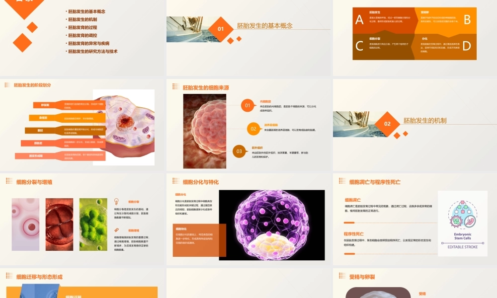 胚胎发生总论通用课件