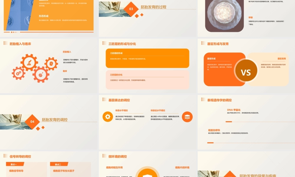 胚胎发生总论通用课件