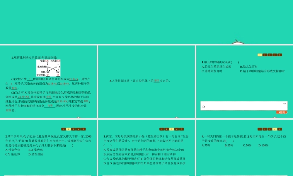 八年级生物上册 第四单元 第四章 第三节 人类染色体与性别决定(第2课时 人类的性别决定)课件 (新版)济南版 课件