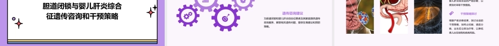 胆道闭锁与婴儿肝炎综合征的遗传因素研究