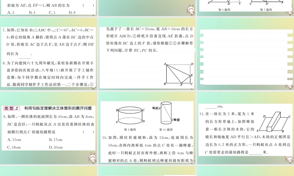 八年级数学上册 滚动小专题(一)习题课件 (新版)北师大版 课件
