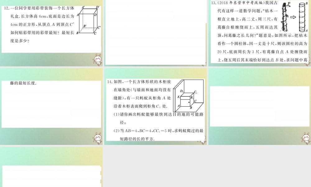 八年级数学上册 滚动小专题(一)习题课件 (新版)北师大版 课件