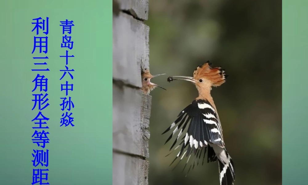 七年级数学下册 4.5 利用三角形全等测距离课件2 (新版)北师大版 课件