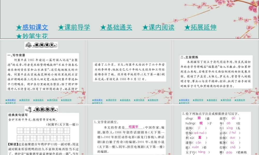 九年级语文下册 第五单元 18(天下第一楼(节选))巩固练习课件 新人教版 课件