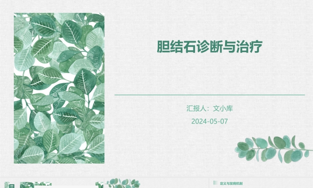 胆结石诊断与治疗