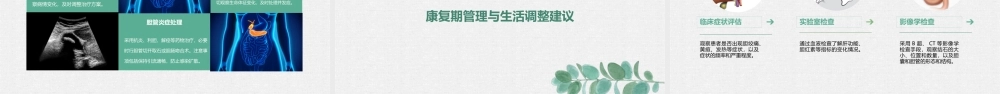 胆结石诊断与治疗