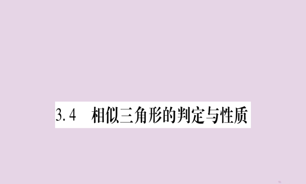 九年级数学上册 第3章 图形的相似 34 相似三角形的判定与性质 341 第1课时 作业课件 (新版)湘教版 课件
