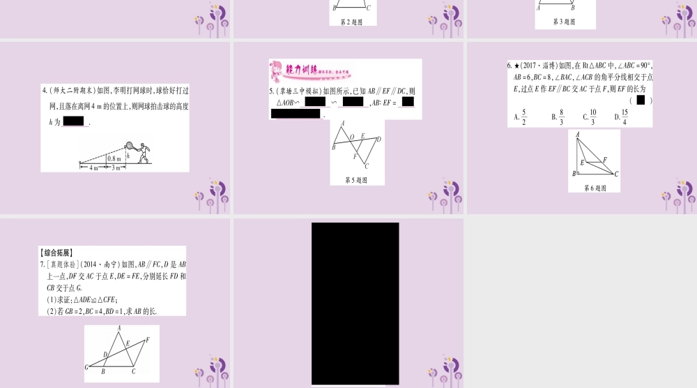 九年级数学上册 第3章 图形的相似 34 相似三角形的判定与性质 341 第1课时 作业课件 (新版)湘教版 课件