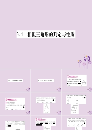 九年级数学上册 第3章 图形的相似 34 相似三角形的判定与性质 341 第1课时 作业课件 (新版)湘教版 课件