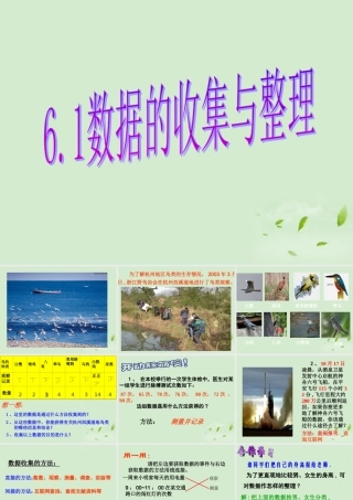 九年级数学 61数据的收集与整理课件 人教新课标版 课件
