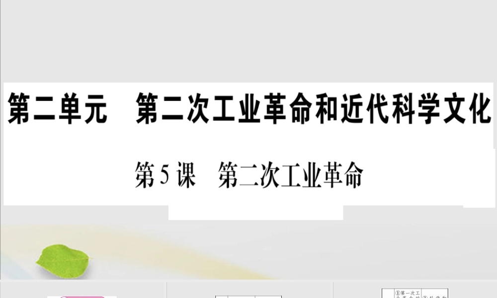 九年级历史下册 第二单元 第二次工业革命和近代科学文化 第5课 第二次工业革命习题课件 新人教版 课件