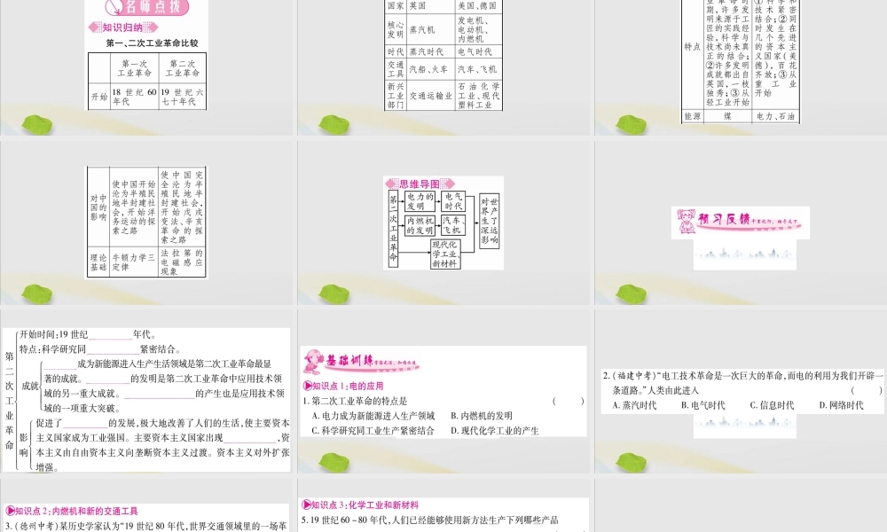 九年级历史下册 第二单元 第二次工业革命和近代科学文化 第5课 第二次工业革命习题课件 新人教版 课件