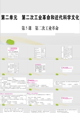九年级历史下册 第二单元 第二次工业革命和近代科学文化 第5课 第二次工业革命习题课件 新人教版 课件