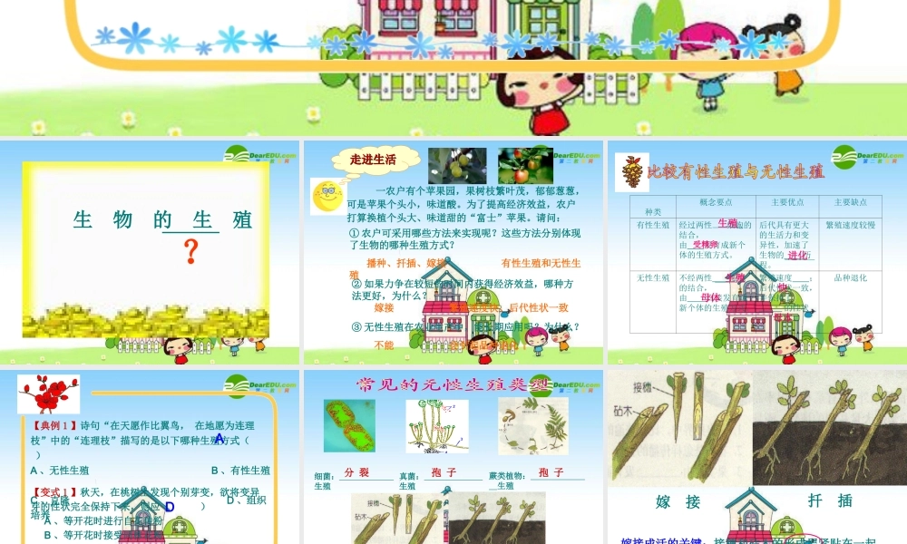 九年级生物中考复习学案 生物的生殖和发育 课件