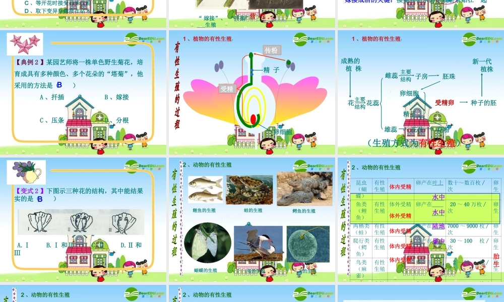 九年级生物中考复习学案 生物的生殖和发育 课件