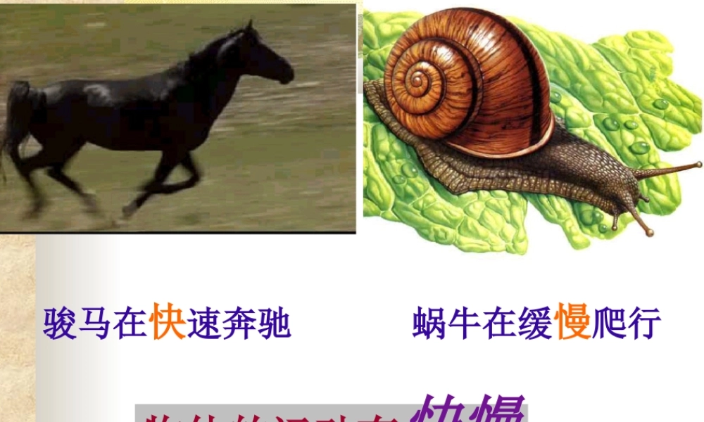 八年级物理快与慢课件沪科版 课件