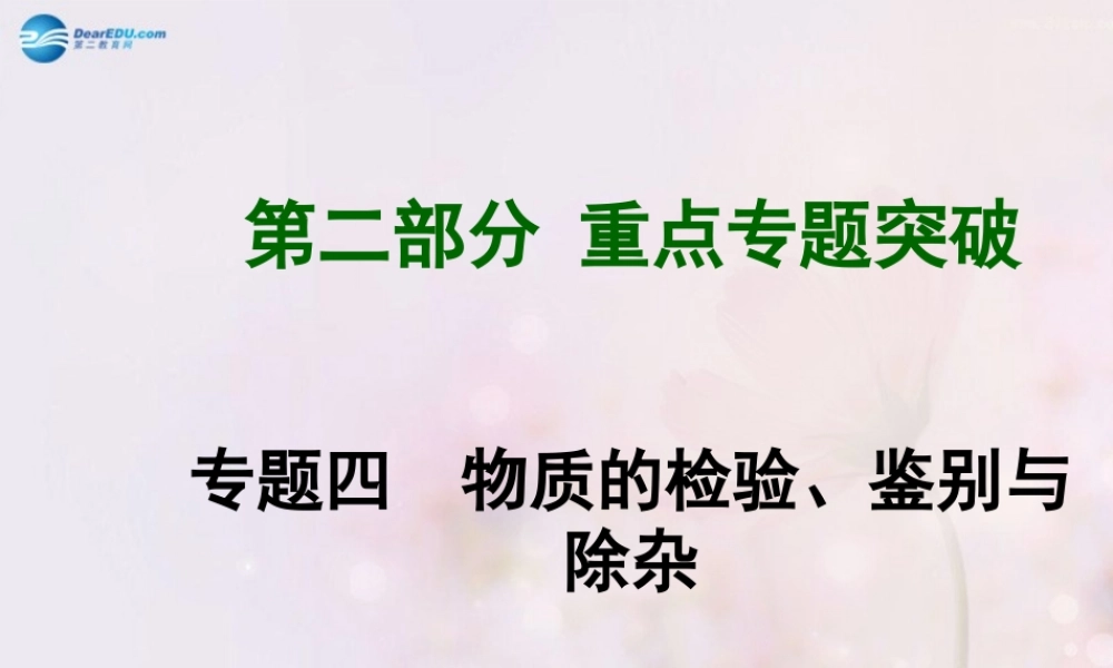 中考化学总复习 专题四 物质的检验、鉴别与除杂课件
