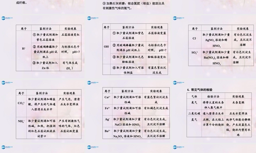 中考化学总复习 专题四 物质的检验、鉴别与除杂课件