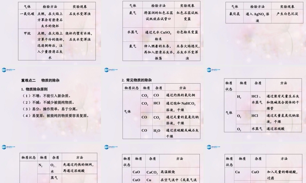 中考化学总复习 专题四 物质的检验、鉴别与除杂课件